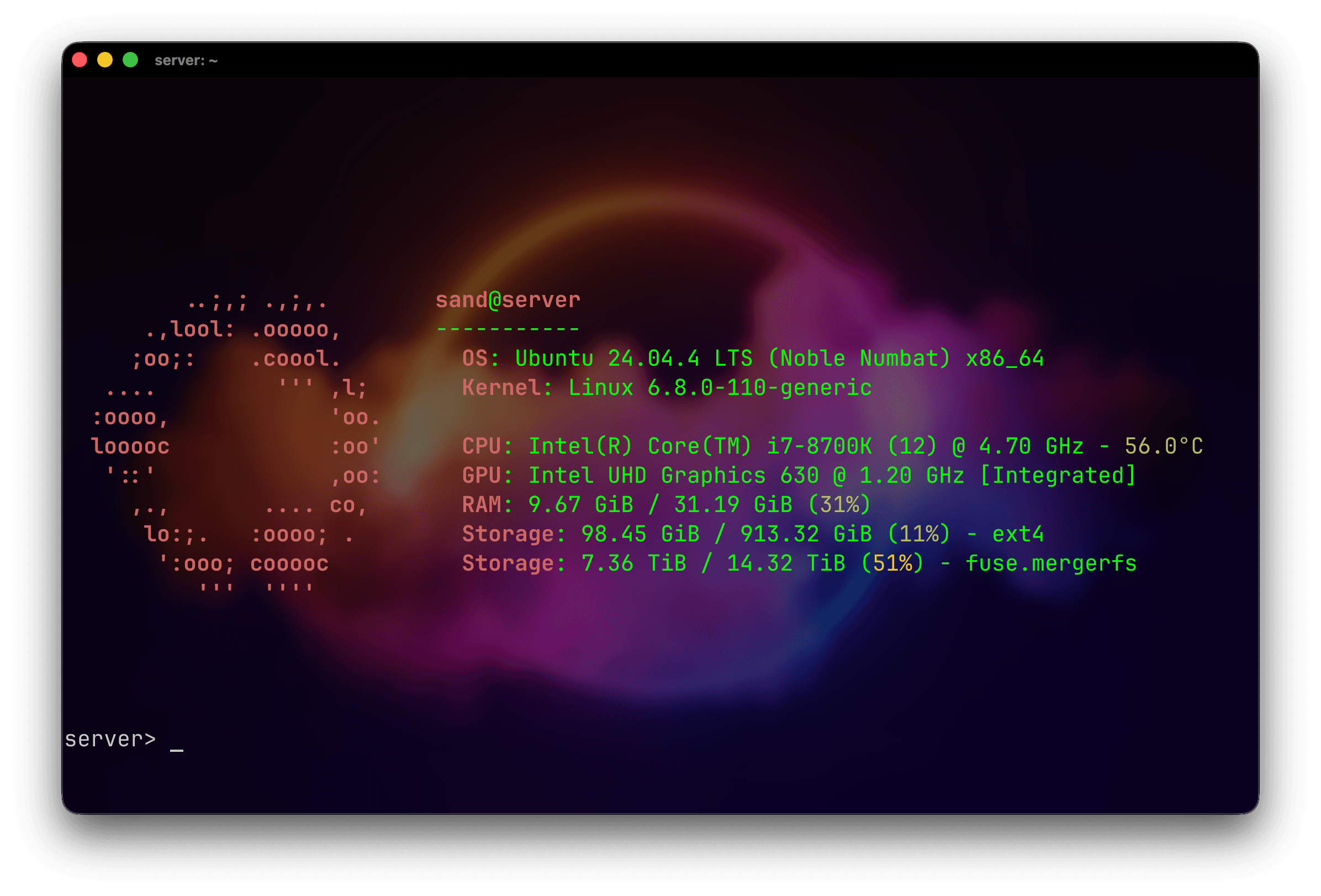 Server neofetch output